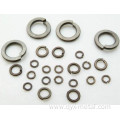 Widely Used Titanium Spring Washers
